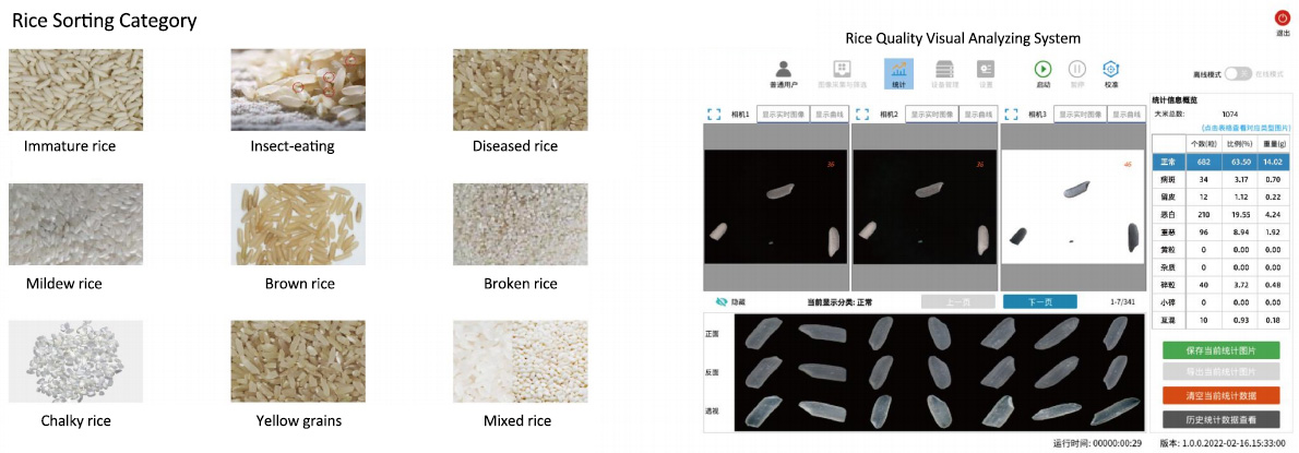 rice quality inspection system