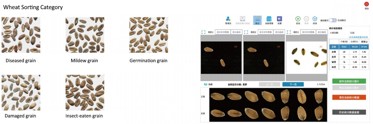 Wheat quality visual inspection system